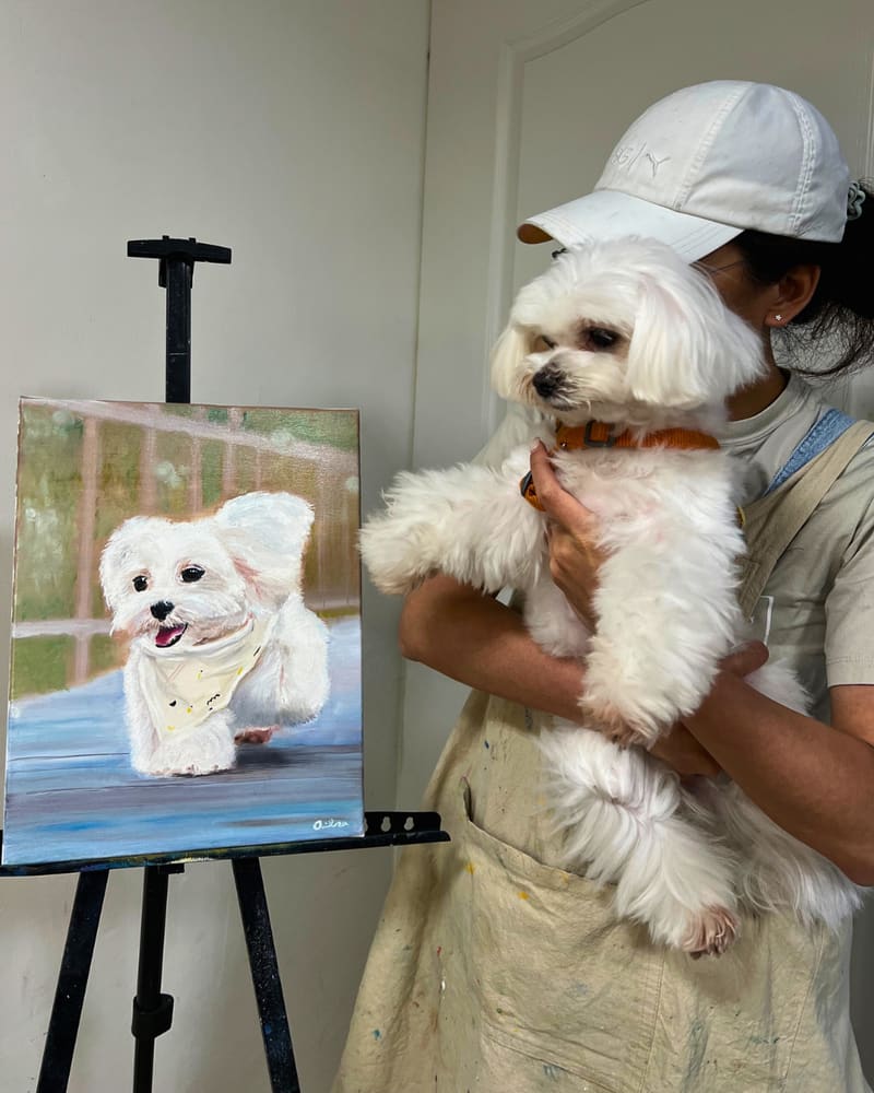 寵物 主題示意圖